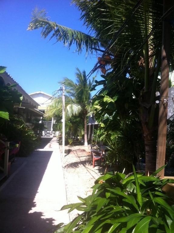 Cooper'S Inn Utila Quarto foto